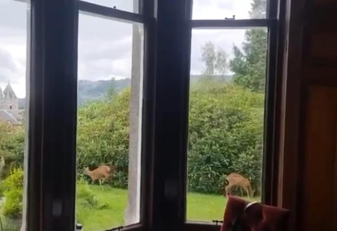Wellwood Manor Hotel Pitlochry Eksteriør billede