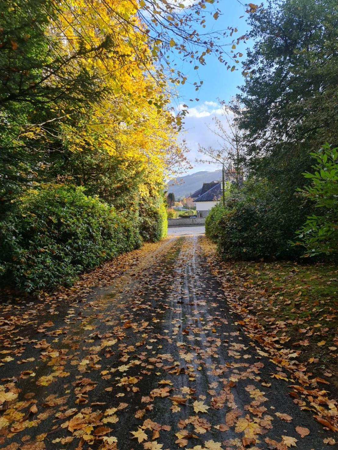 Wellwood Manor Hotel Pitlochry Eksteriør billede